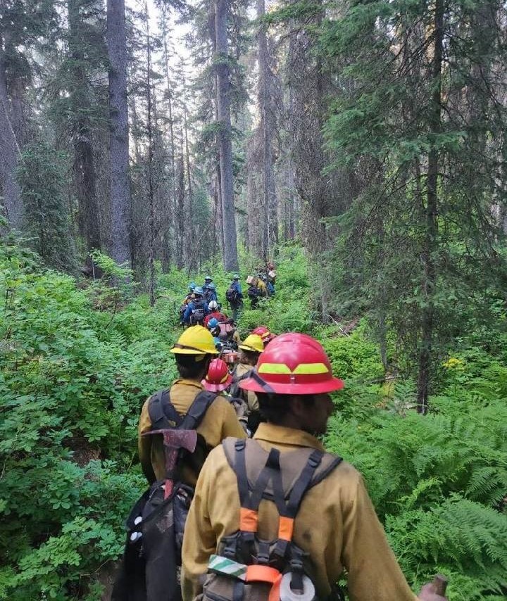 Swan Unit On Colt Fire