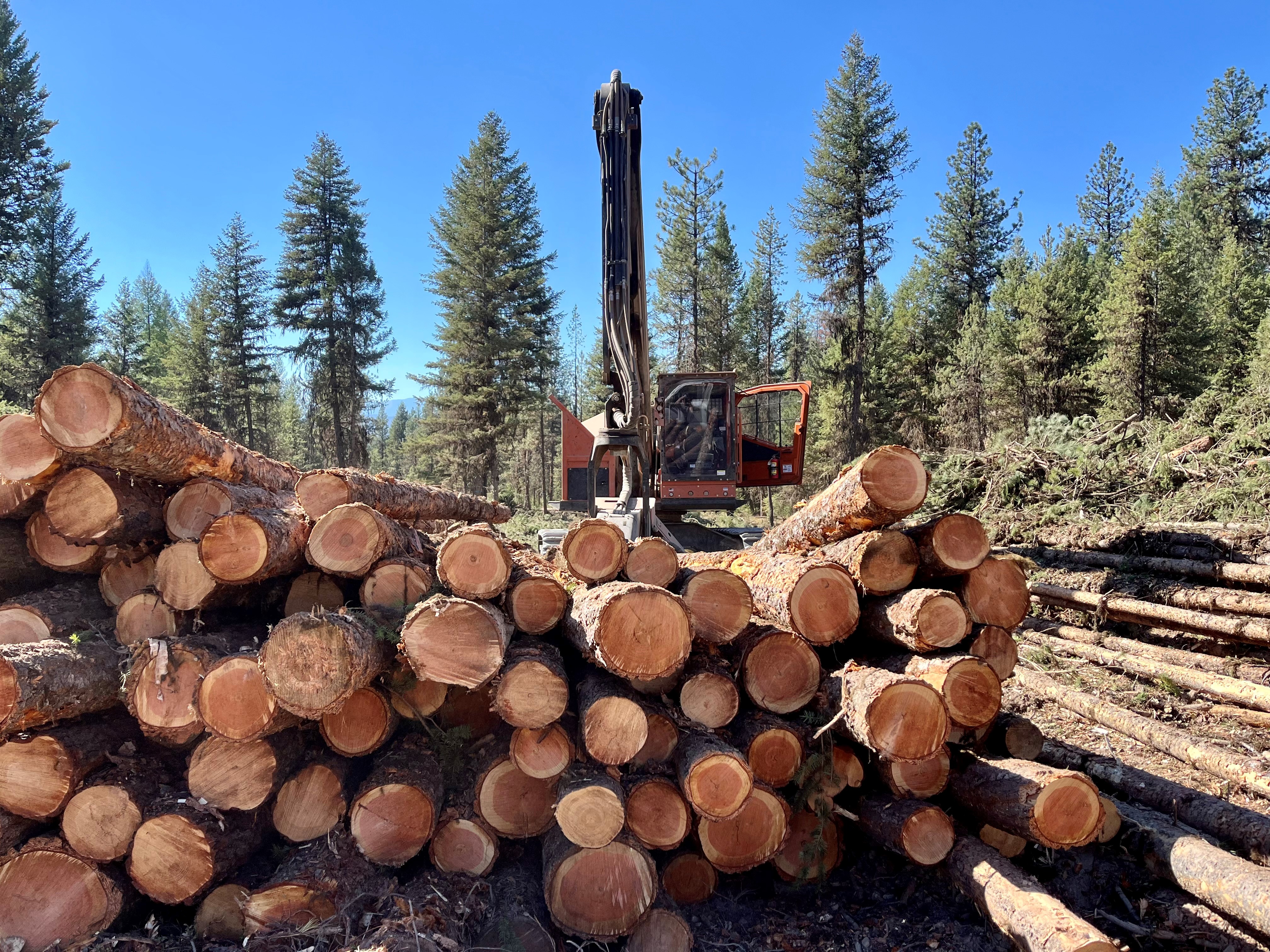 Log deck with machinery on the Thompson River State Forest, Montana.