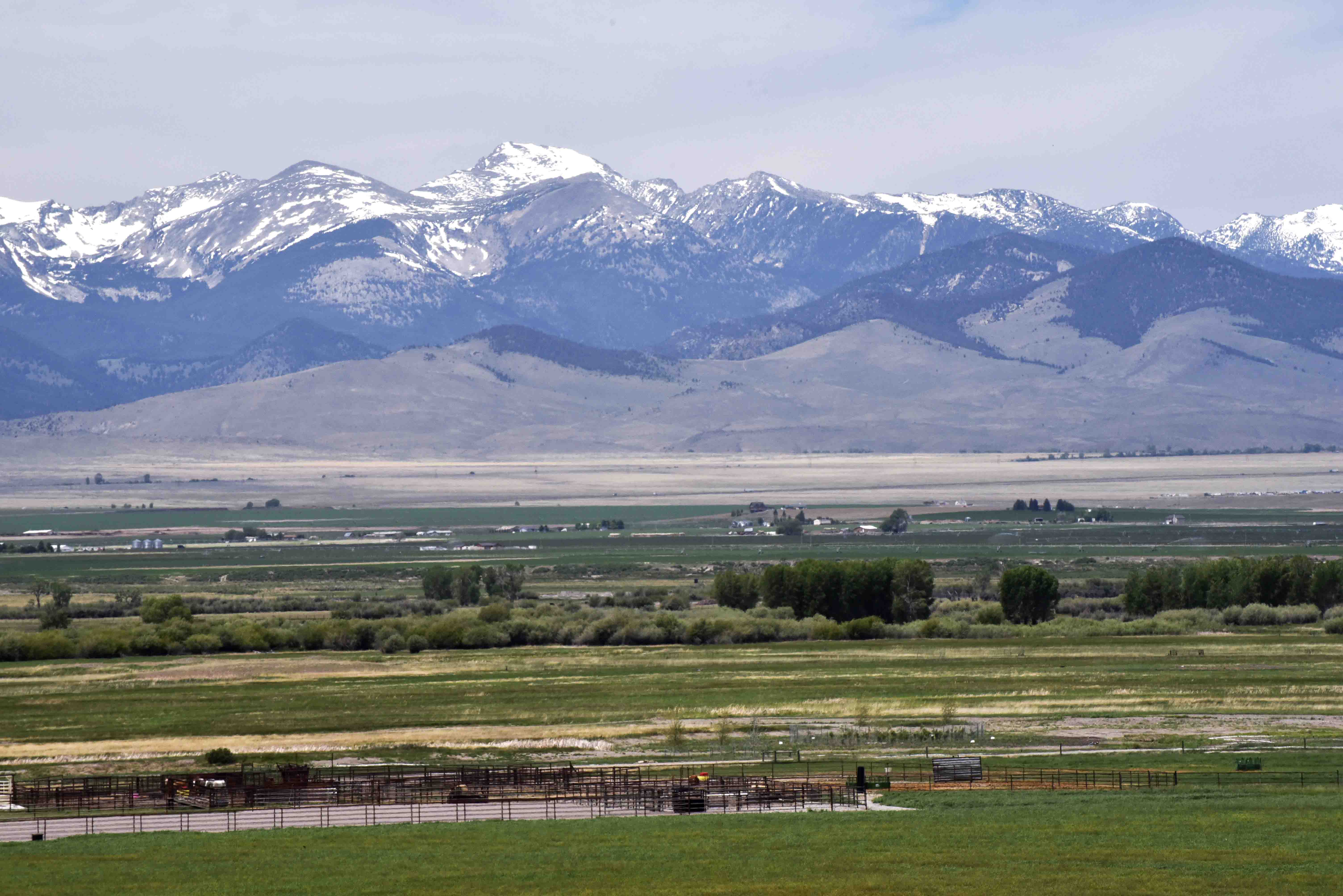 Mountain Range with Field