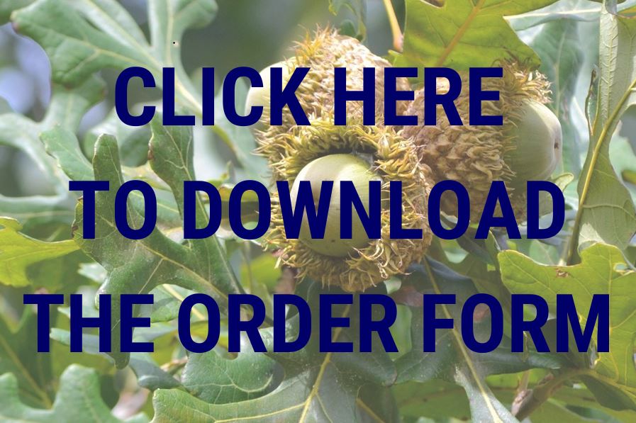 orderform_image.JPG